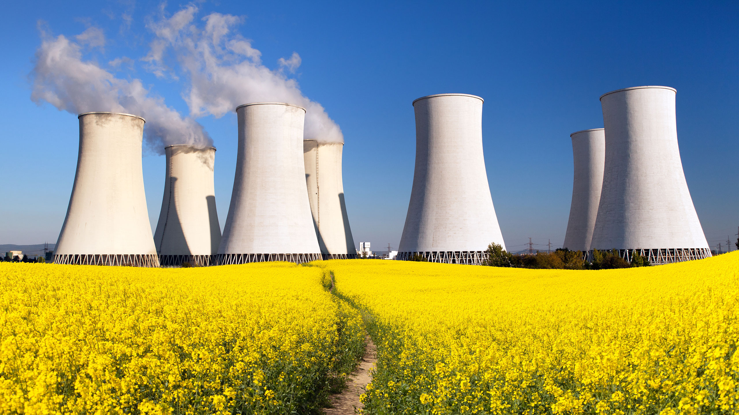 AYES, a major actor in Reliability Studies for Nuclear Safety Systems